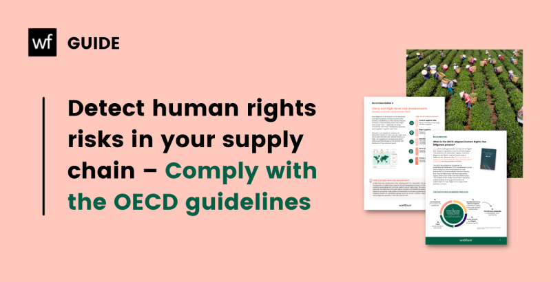 Detect human rights risks in your supply chain (OECD)