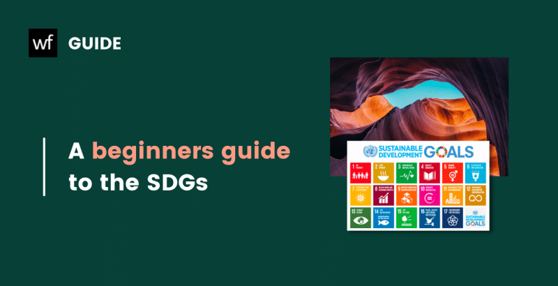 a beginners guide to the sdgs